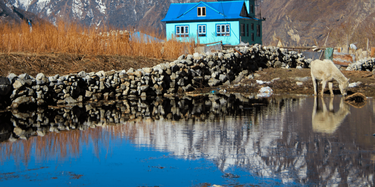 Langtang Reflection Image